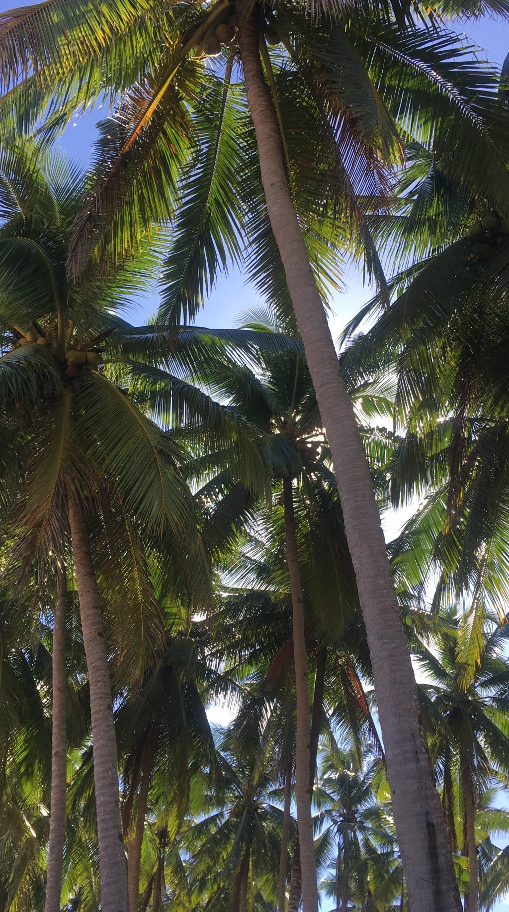 Nacpan Beach, Palawan,&nbsp;Philippinen