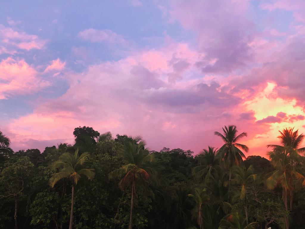 Zurück zum Pazifik- Unsere letzten Tage in Costa&nbsp;Rica