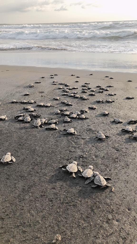Salinas Grandes, Nicaragua
