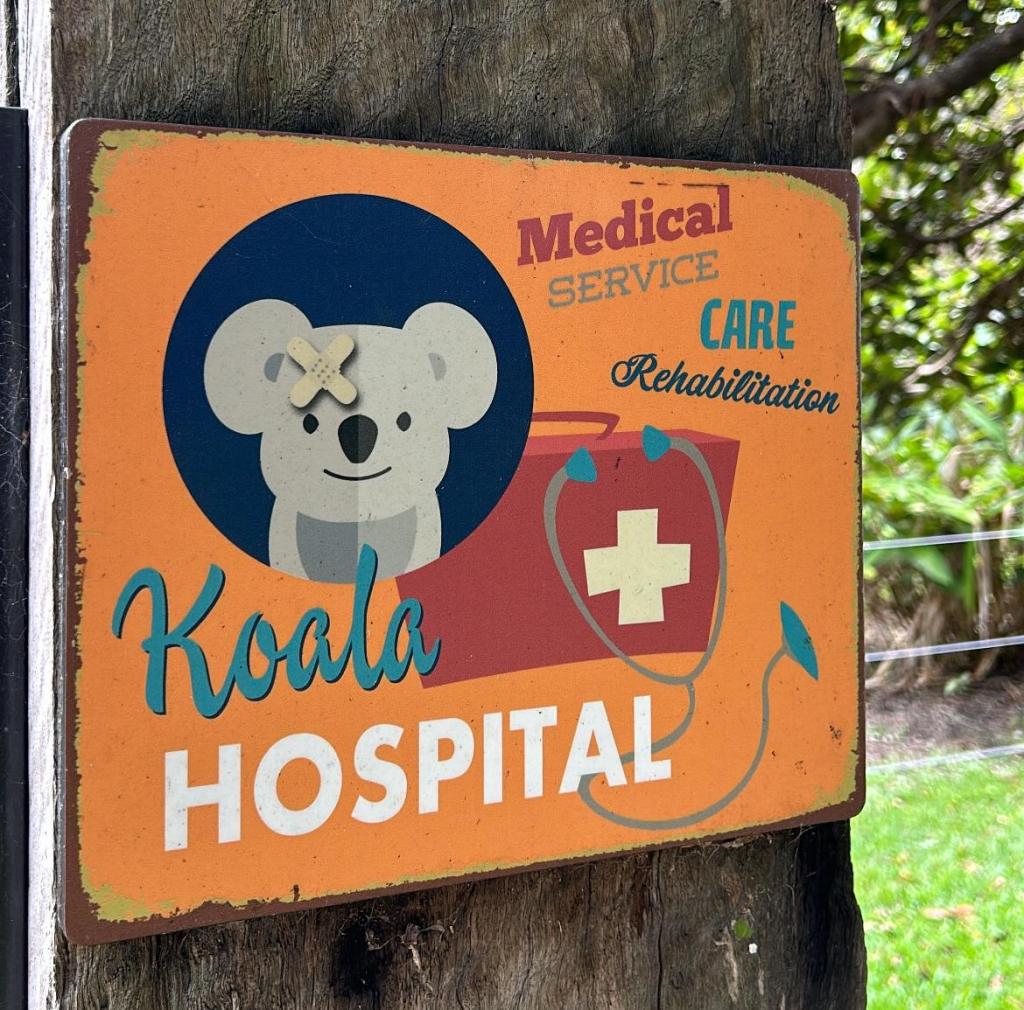 Koala Krankenhaus, Port&nbsp;Macquarie