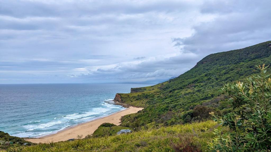 Royal Nationalpark, Sydney